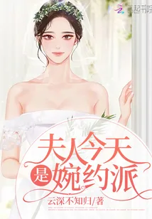 《夫人今天是婉约派》小说封面