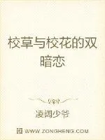 《校草与校花的双暗恋》小说封面