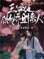 《王爷他傲娇且撩人》小说封面
