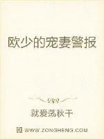 《欧少的宠妻警报》小说封面