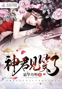 《神君见笑了》小说封面