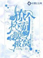 《撩个校霸暖被窝》小说封面