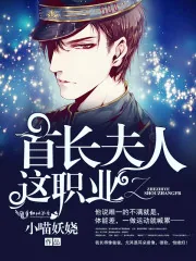 《首长夫人这职业》小说封面