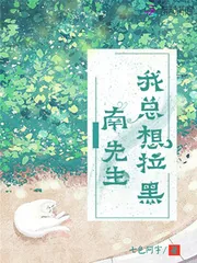《我总想拉黑南先生》小说封面