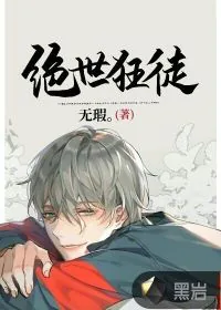 《绝世狂徒》小说封面
