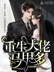《重生大佬马甲多》小说封面