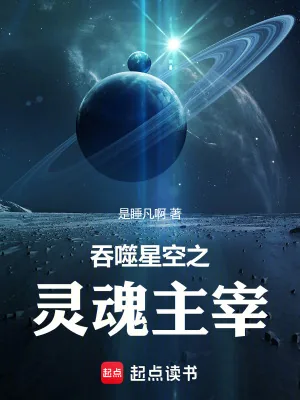 《吞噬星空之灵魂主宰》小说封面