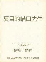 《夏目的喵口先生》小说封面