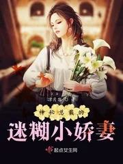 《神秘总裁的迷糊小娇妻》小说封面