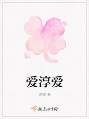 《爱淳爱》小说封面