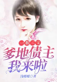 《一胎二宝：爹地债主我来啦》小说封面
