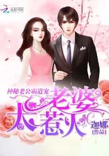 《神秘老公霸道宠：老婆，太惹火》小说封面