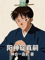 《阳神碇真嗣!!》小说封面