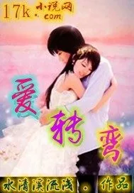 《爱转弯》小说封面