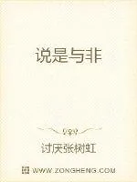 《说是与非》小说封面