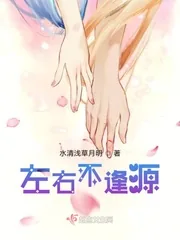 《左右不逢源》小说封面