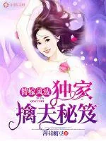 《替嫁风波：独家擒夫秘笈》小说封面