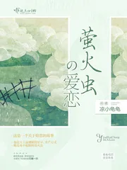 《萤火虫的爱恋》小说封面