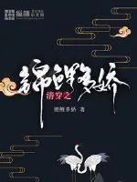 《清穿之锦鲤多娇》小说封面
