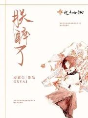 《朕醉了》小说封面