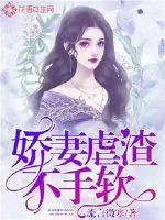 《娇妻虐渣不手软》小说封面