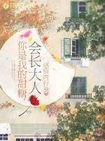 《你是我的甜糖，会长大人》小说封面