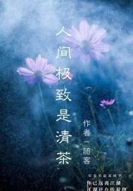 《人间极致是清茶》小说封面