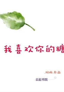 《我喜欢你的糖》小说封面