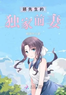 《顾先生的独家前妻》小说封面
