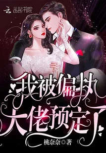 《我被偏执大佬预定了》小说封面