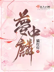 《梦中麟》小说封面