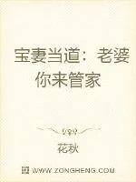 《宝妻当道：老婆你来管家》小说封面
