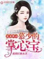 《宠宠欲动：慕少的掌心宝》小说封面