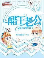《醋王老公，我拿错剧本了》小说封面