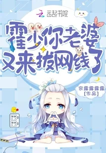 《霍少，你老婆又来拔网线了》小说封面