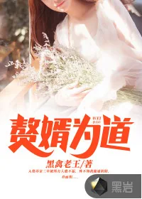 《赘婿为道》小说封面