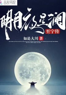 《明月夜星澜》小说封面