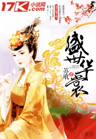 《盛世华裳》小说封面