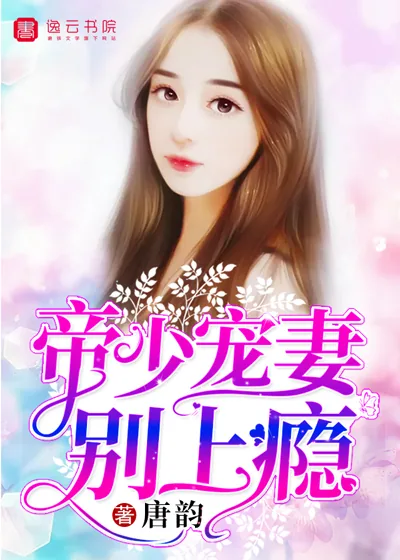 《帝少宠妻别上瘾》小说封面