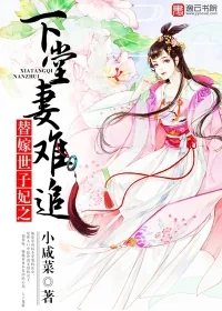 《替嫁世子妃之下堂妻难追》小说封面