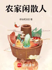 《农家闲散人》小说封面