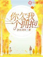 《你欠我一个拥抱》小说封面
