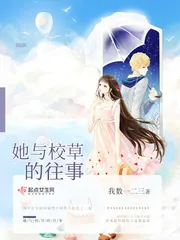 《她与校草的往事》小说封面
