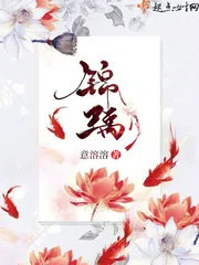 《锦瑀》小说封面