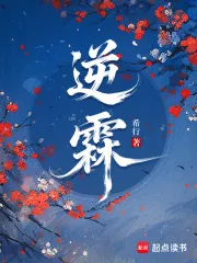 《逆霖》小说封面