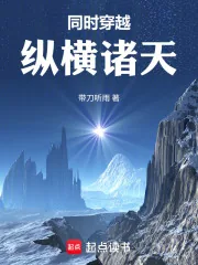 《同时穿越:纵横诸天》小说封面