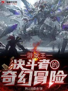《游戏王:决斗者的奇幻冒险》小说封面