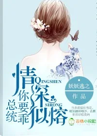 《情深似熔，总统你要乖》小说封面