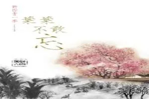 《叶叶不敢忘》小说封面