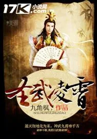 《圣武凌霄》小说封面